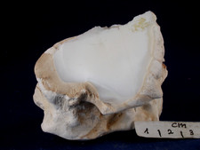 Mineralien fichtelgebirge milc gebraucht kaufen  Marktredwitz