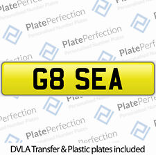 Sea oil fish for sale  UK
