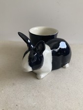 Black white rabbit for sale  SHANKLIN