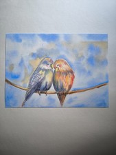 Aquarell bild vogel gebraucht kaufen  Schmitten im Taunus