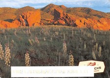 Usa red rocks d'occasion  France