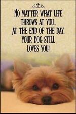 Yorkie refrigerator magnet for sale  West Plains