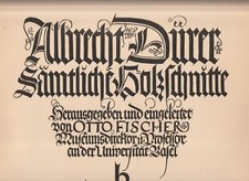 Albrecht dürer sämtliche gebraucht kaufen  Kronach