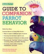 Guide companion parrot for sale  Philadelphia