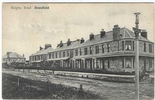 print dundee for sale  ORPINGTON