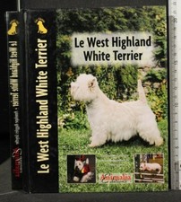 West highland white usato  Ariccia