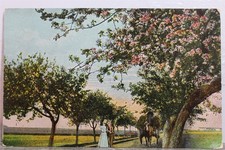 Art park country for sale  Wilmington