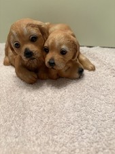 golden retriever puppies for sale  Ravenna