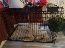 Vibrant life double for sale  South Saint Paul