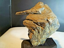 Fossiles. bois fossile. d'occasion  Gap