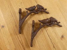 Cast iron plant for sale  Lincoln