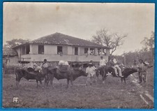 Usado, foto vintage boi montando nativo ilha de Marajó Amazônia Para Brasil Brasil 1914 foto comprar usado  Enviando para Brazil