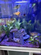 100 litre tropical for sale  EASTBOURNE