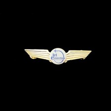 Jet connections pilot for sale  Henderson