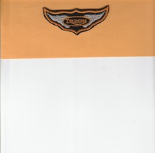 Vintage triumph motorcycles for sale  Deland