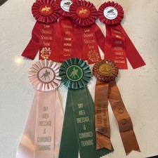 horse show ribbons for sale  Land O Lakes