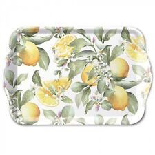 Tablett tray 13x21 gebraucht kaufen  Freilassing