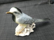 Vogel ens volkstedt gebraucht kaufen  Husum