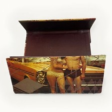 Óculos de sol Chilli Beans estojo triplo dobrável apenas estojo rígido foto retrô humor comprar usado  Enviando para Brazil