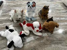 Lot puppy dog for sale  Brookfield