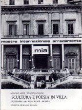 Gianni arde franco usato  Italia