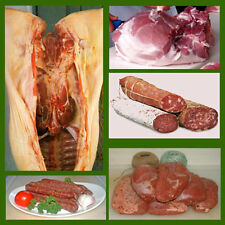 alte rezepte gebraucht kaufen alte rezepte gebraucht kaufen Enkenbach-Alsenborn