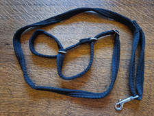 Figure pulling headcollar for sale  SLEAFORD