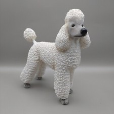 Standard white poodle for sale  HEMEL HEMPSTEAD