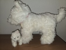cachorro west highland white terrier comprar usado cachorro west highland white terrier comprar usado Enviando para Brazil