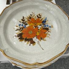 Vtg mikasa stoneware for sale  Livingston