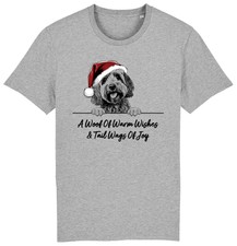 Cockapoo christmas dog for sale  PONTYPRIDD