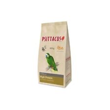 Psittacus estrusi pappagalli usato  Aprilia