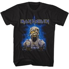 Iron maiden mummy usato  Spedire a Italy