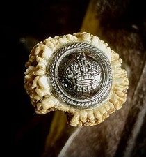 Kamm hirschhorn geweih gebraucht kaufen  Hilpoltstein