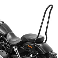 Sissybar harley davidson gebraucht kaufen  Meinerzhagen