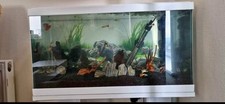 White litre fish for sale  BOLTON