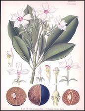1887 antique print for sale  ASHFORD
