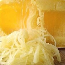 Spaghetti squash seeds for sale  Minneapolis