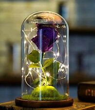 Beauty beast purple for sale  HYDE