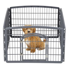 Iris usa puppy for sale  Brentwood