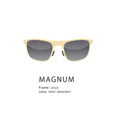 Lunettes soleil solaires d'occasion  Biarritz