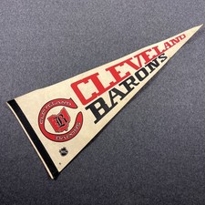 Nhl cleveland barons for sale  Bethany