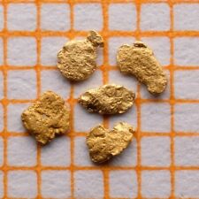 Pepite oro naturali usato  Biella