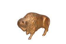 buffalo bank for sale buffalo bank for sale Plymouth