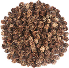 240pcs pine cones for sale  BELVEDERE