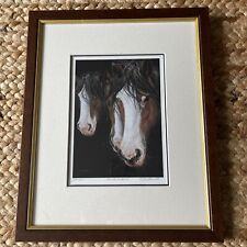 Skewbald cob horse for sale  PAIGNTON