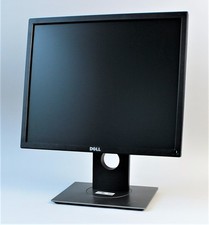 Dell p1917s led gebraucht kaufen  Borsfleth