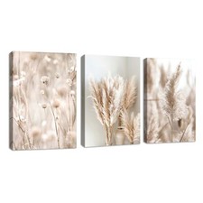 Pcs roseaux beige d'occasion  Lyon I