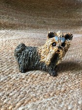 Yare yorkshire terrier for sale  WIRRAL