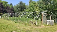 polytunnel frame for sale polytunnel frame for sale HAVERHILL
